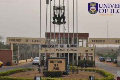 best federal universities in Nigeria