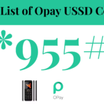 opay ussd codes,opay ussd code